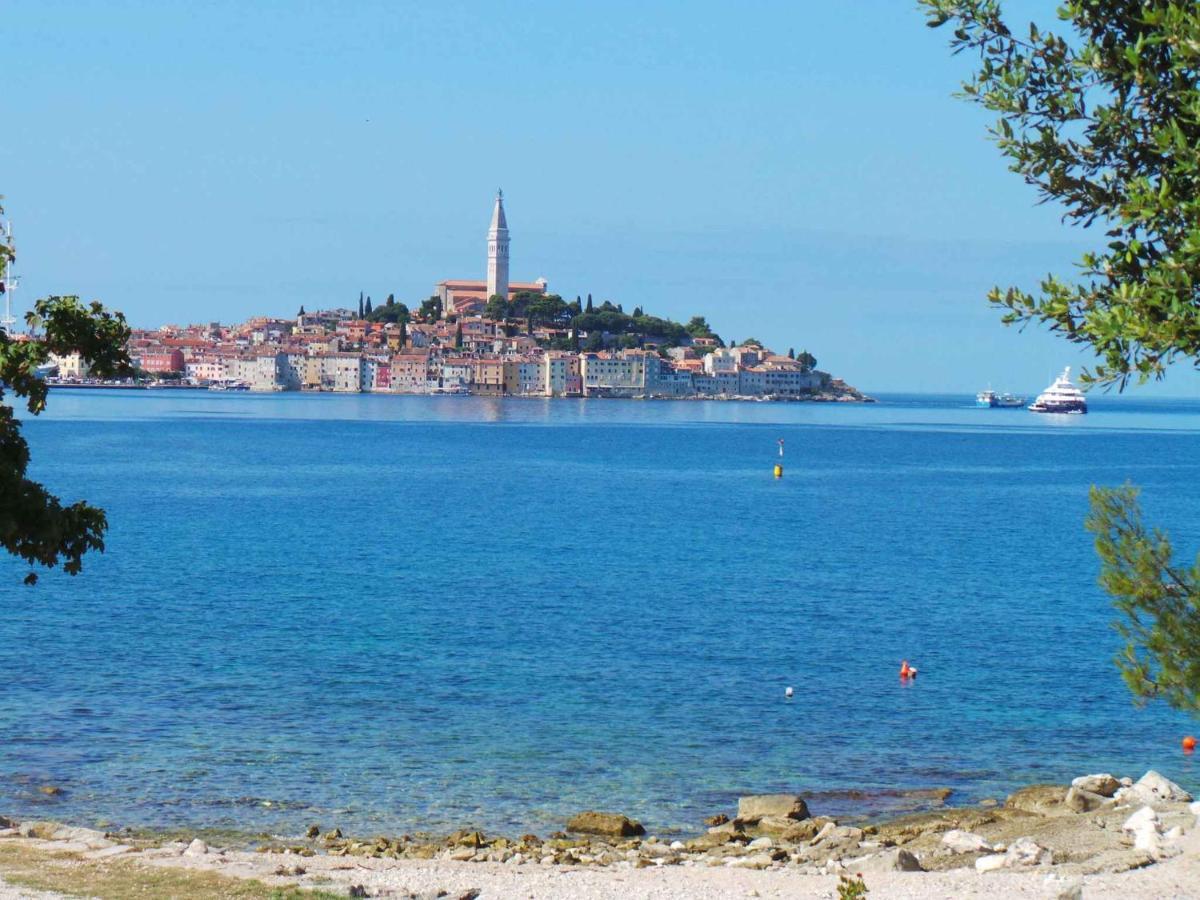 Apartment In Rovinj/Istrien 11735 מראה חיצוני תמונה