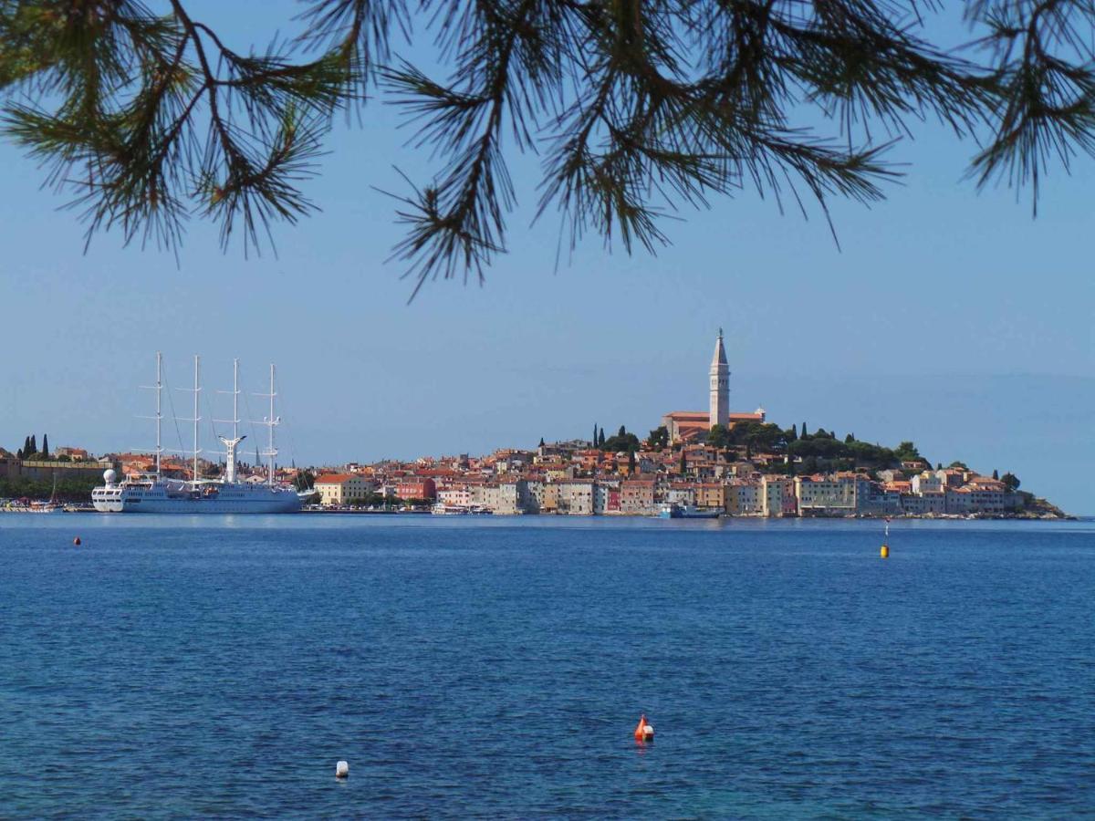 Apartment In Rovinj/Istrien 11735 מראה חיצוני תמונה